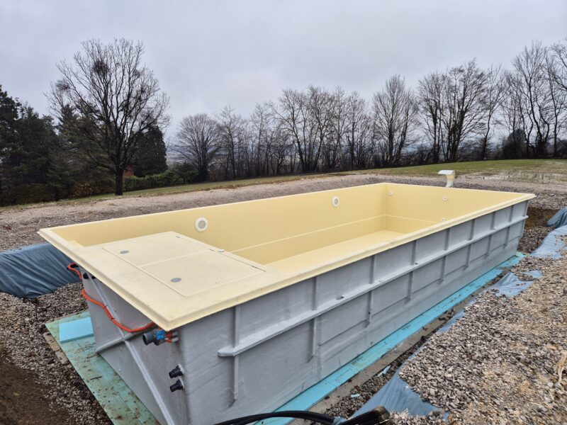 TAHITI_ RAL1015 - DONJI DRAGONOŽEC (2)